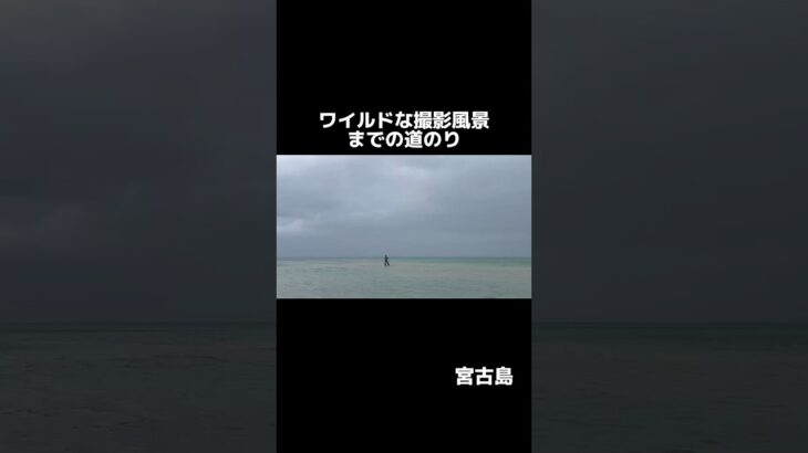 2023年 ワイルドな撮影までの道のり #宮古島 #miyakojima