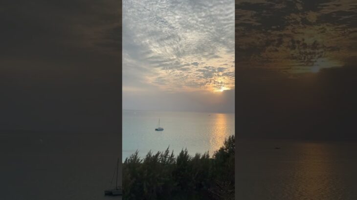 2023年 宮古島東急　#与那覇前浜ビーチ #miyakojima #sea #tropicalfish #2025 #4月7日 コーラルウィング7F