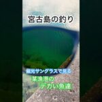 2023年 【宮古島釣り】【アカナー、トカジャー、チヌマン乱舞】#カーエー #釣り #ふかせ釣り #フカセ釣り #アウトドア #タマン #ロウニンアジ #宮古島 #沖縄釣り #shimano #daiwa