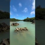 2023年 【沖縄宮古島の海①】 #shorts #沖縄 #宮古島 #海
