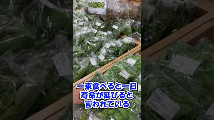 2023年 宮古島の野菜が未知すぎる件…ぱるだま？フーチバー？【ご当地野菜紹介】#shorts