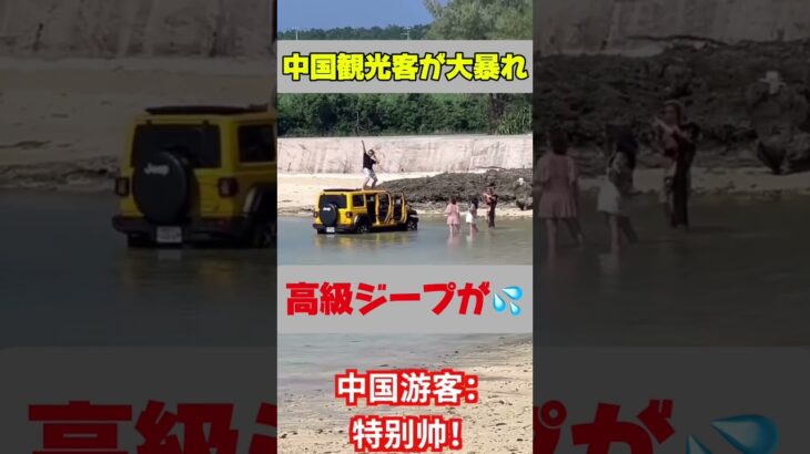 2023年 中国観光客が宮古島で大暴れ！#中国観光客 #やばい #マナー違反 #事件発生 #shorts
