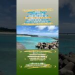 2023年 #shorts #vlog #宮古島 #miyako #nature #絶景 #伊良部大橋 #トゥリバー海浜公園