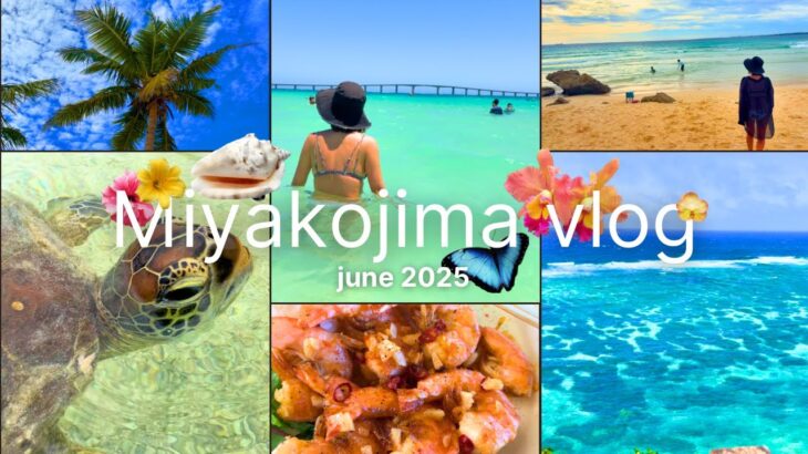 2023年 【宮古島】毎年行く私達の本当は秘密にしたい大満喫プラン🏖️ | 憧れのヴィラリゾートthe rescape🐚 | 絶景・秘境・絶品グルメ・人気居酒屋・観光