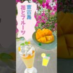 2023年 ユートピアファーム宮古島🌺🥭 #宮古島 #ユートピアファーム #マンゴー #花 #フルーツ #旅行 #観光 #グルメ #travel #trip #miyakojima #shorts