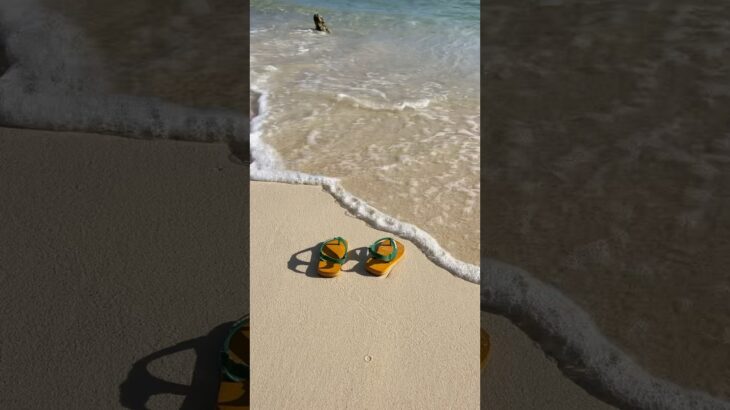 2023年 【宮古島】梅雨明け初日🌴チャプチャプ海遊び