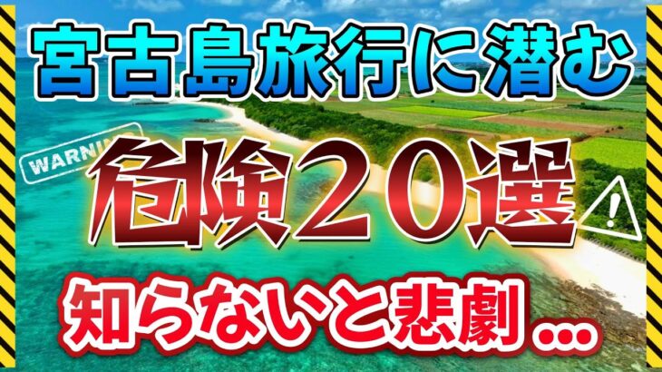 2023年 【行く前に必見】宮古島旅行で直面する危険まとめ！悲劇を回避