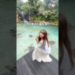 2023年 【宮古島】ウミガメに必ず会えるホテル！？#宮古島 #宮古島旅行