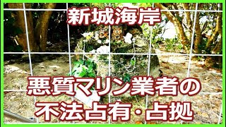 2023年 新城海岸　宮古島