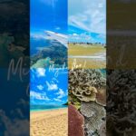 2023年 宮古島一人旅　#旅行 #宮古島 #一人旅 #宮古島観光