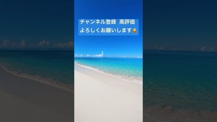 2023年 宮古島　海