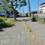 2023年 宮古島散歩