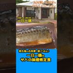 2023年 美味しい朝ごはんはいかがですか？♪ #宮古島 #グルメ