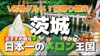 【茨城】今が旬！メロン王国と絶景神社で癒やされる🦌おすすめ日帰り旅#茨城観光おすすめ#茨城グルメ