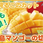 2023年 【宮古島マンゴー】切り方