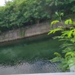 2023年 宮古島の海へ流れる川　名前は不明です　魚も泳いでるよ