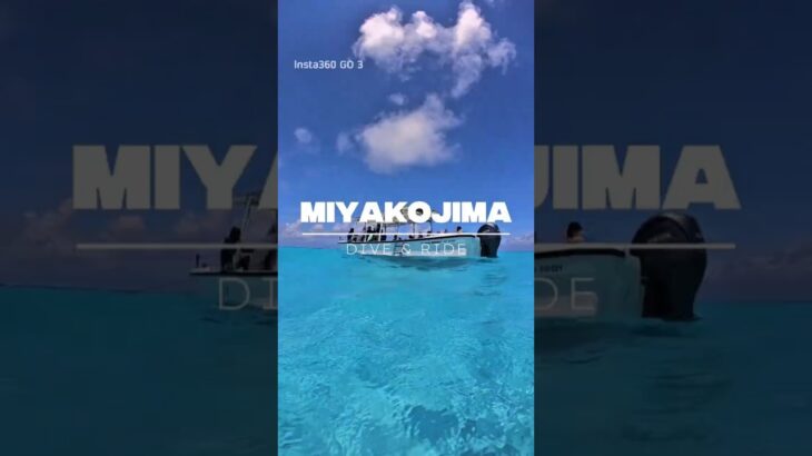 2023年 한국에서 가장 가까운 발리? 미야코지마 프리다이빙 투어 🐠🤿🌊