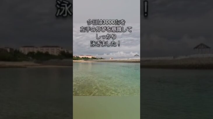 2023年 スイム練習好調！熱帯魚たくさん！#宮古島 #セカンドライフ #トライアスロン #アイアンマン #移住 #水泳