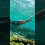 2023年 【感動】宮古島でやるべき事！ 北欧家族が釣り&シュノーケリング！宮古ブルーを満喫できるチャータープランが最高すぎた。 #宮古島　#夏休み　#釣り