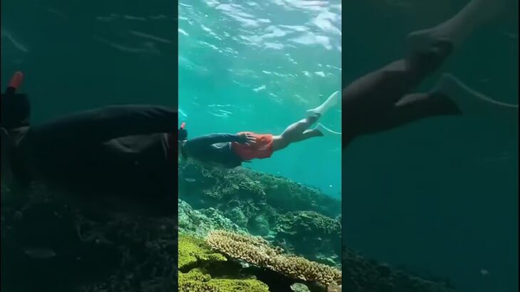 2023年 【感動】宮古島でやるべき事！ 北欧家族が釣り&シュノーケリング！宮古ブルーを満喫できるチャータープランが最高すぎた。 #宮古島　#夏休み　#釣り