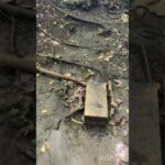 2023年 ヌドクビアブ #宮古島　いつ行っても飽きない場所で、中に入ると少し涼しいです