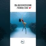 2023年 이래서 다들 미야코지마로 간다🌊 숨멎 바다, 직접 보여드림!