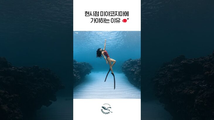 2023年 이래서 다들 미야코지마로 간다🌊 숨멎 바다, 직접 보여드림!