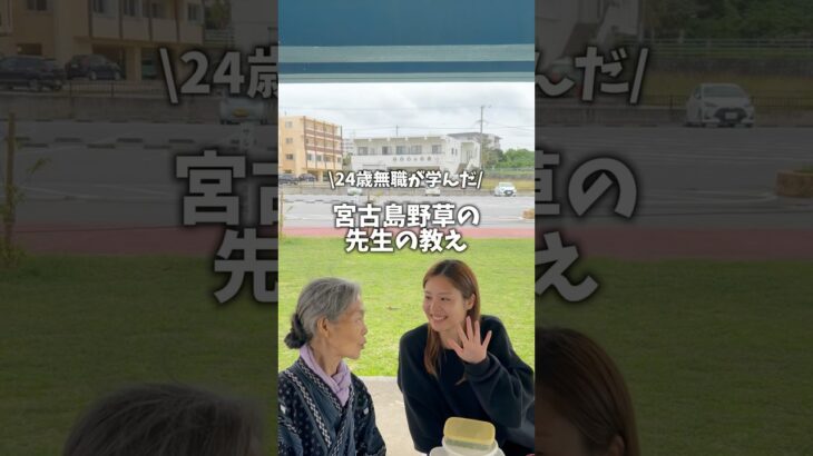 2023年 私の恩師🫶🏻#野草 #沖縄 #宮古島 #沖縄移住