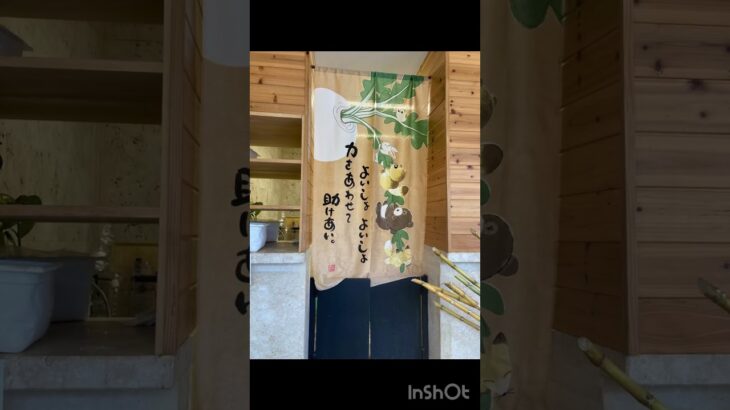 2023年 きび茶屋のアイスと餅が最高に美味しいです #宮古島　＃きび茶屋