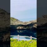 2023年 宮古島[通り池]