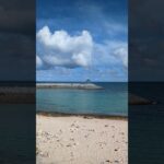 2023年 宮古島 わいわい ビーチでシュノーケリングしてみました　ブロックの内側にも結構たくさんの魚がいて、波も穏やかに楽しめました　外に出ると急に深さが増すので魚を見るのには少し遠かったです