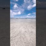 2023年 宮古島の海 遠浅でずっと歩いていけます #沖縄 #宮古島 #インスト曲 #アコギ #海