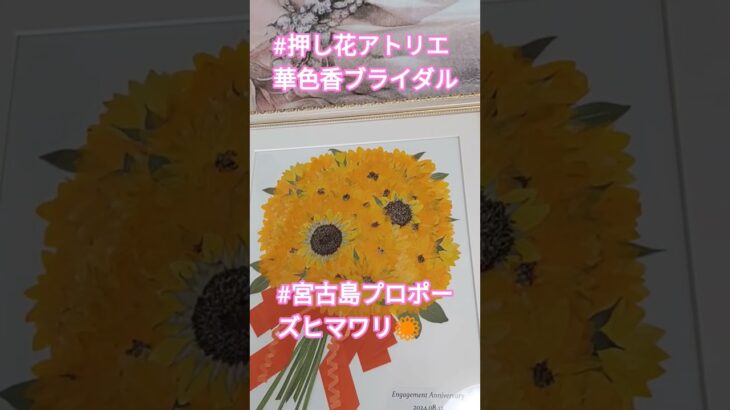 2023年 #宮古島プロポーズバラ押し花 #宮古島プロポーズバラ押し花 #千葉プロポーズバラ押し花 #プロポーズバラ