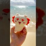 2023年 シーサーちゃんと振り返る宮古島の思い出