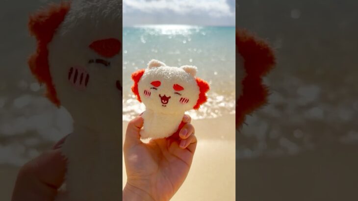 2023年 シーサーちゃんと振り返る宮古島の思い出