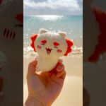 2023年 シーサーちゃんと振り返る宮古島の思い出🌺