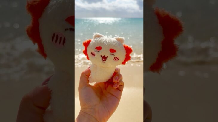 2023年 シーサーちゃんと振り返る宮古島の思い出🌺