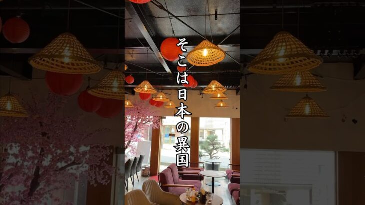 茨城県の異国体験🇻🇳！旅行にもおすすめ！こんな美味しいバインミー、なかなか食べられません…🥺#異国体験 #旅行 #エスニック#観光 #海外旅行 #ご飯 (音声:音読さん)