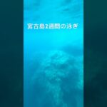 2023年 宮古島〜中の島〜