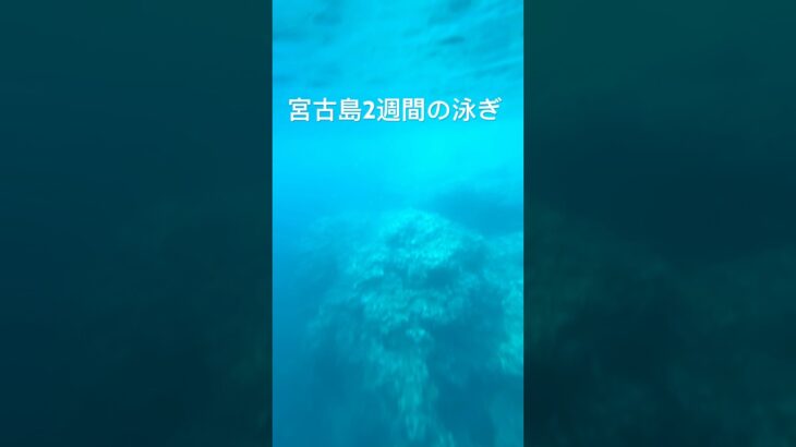 2023年 宮古島〜中の島〜