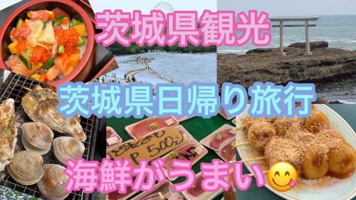 茨城県大洗町観光　カキ小屋で海鮮を楽しみ🦪大洗磯前神社と酒列磯前神社でパワーチャージ　那珂湊おさかな市場🐟ひたち海浜公園のネモフィラ
