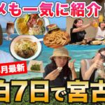 2023年 【宮古島vlog】島民おすすめのグルメも紹介！