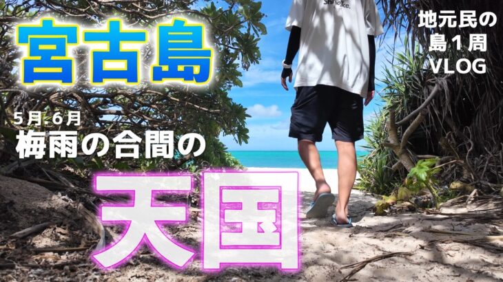 2023年 【宮古島観光】地元民が行く島１周王道観光スポット巡り【梅雨時期vlog】
