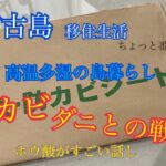 2023年 【vlog】宮古島移住生活🏝️ちょっと番外編🐚高温多湿の気候での暮らし