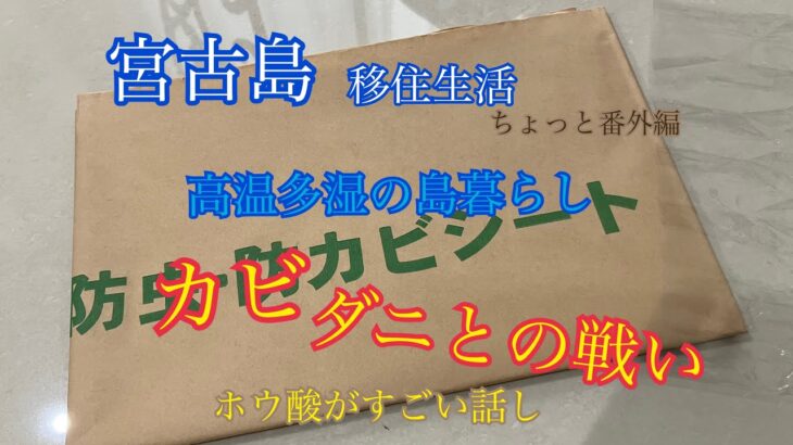 2023年 【vlog】宮古島移住生活🏝️ちょっと番外編🐚高温多湿の気候での暮らし