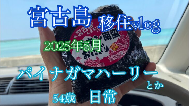 2023年 【移住vlog】2025年５月。宮古島移住生活🏝️パイナガマハーリー🚣‍♂️&、1ヶ月のまとめ日記。