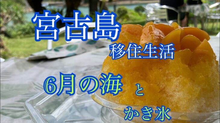 2023年 【vlog】宮古島移住生活🏝️6月の海🏝️と､かき氷🍧今年はマンゴー入手困難です💔🥭