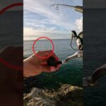 2023年 うわぁーw #釣り #fishing #ルアーフィッシング #宮古島