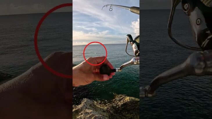 2023年 うわぁーw #釣り #fishing #ルアーフィッシング #宮古島