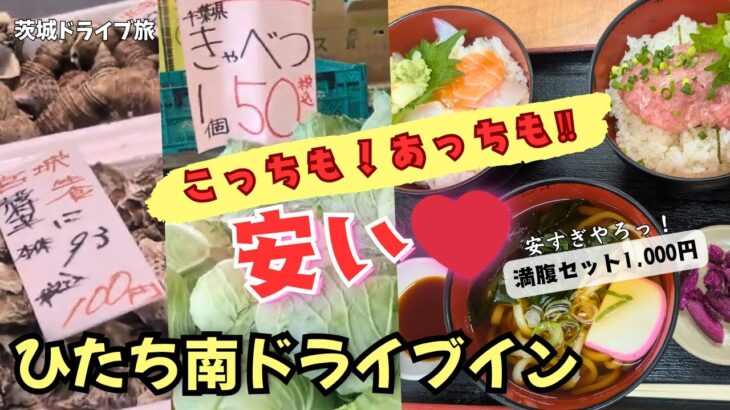 【茨城旅】キャベツ1玉●円!? 激安野菜を爆買い！水産会社直営の絶品海鮮丼！「ひたち南ドライブイン」が天国すぎた…